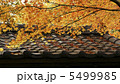 秋色の屋根瓦 5499985