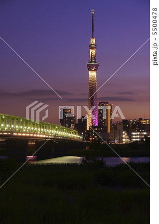 夕暮れの東京スカイツリー（雅・ライトアップ） 5500478