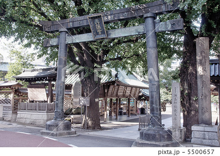 湯島天神 湯島天神 5500657