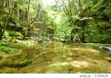 赤目四十八滝 5500926