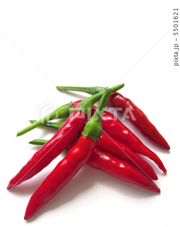 赤唐辛子 5501621