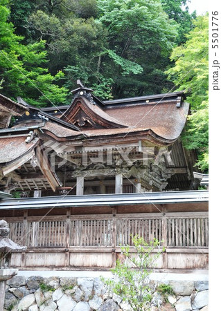 大矢田神社 5501776