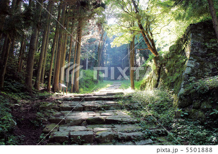 岩村城 5501888