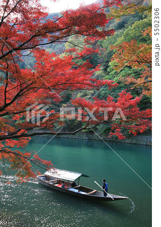 京都・嵐山の紅葉と屋形船 5502306