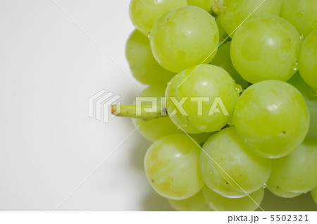 瀬戸ジャイアンツ 瀬戸ジャイアンツ 5502321