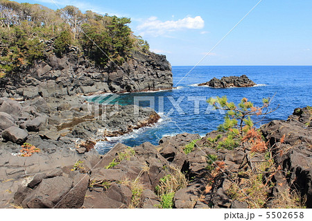 城ヶ崎海岸 城ヶ崎海岸 5502658