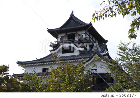 犬山城 犬山城 5503177