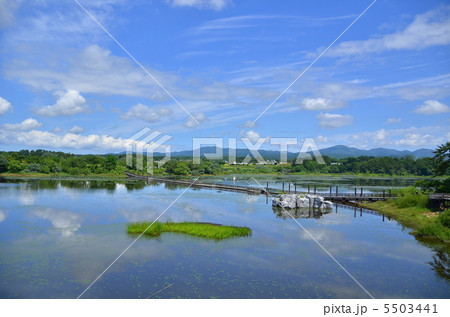 芦野池沼群県立自然公園　藤枝溜池－金木にて 5503441
