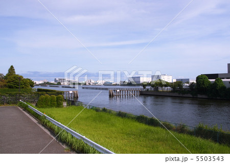 新木場の貯木場 5503543