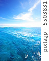 青く輝く海 5503831