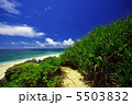 モンパの木と海 5503832