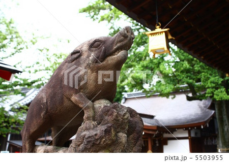 護王神社 狛イノシシ 護王神社 狛イノシシ 5503955