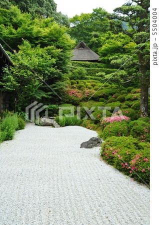 京都　サツキ咲く金福寺 5504004