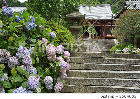 奈良　矢田寺　本堂 5504005