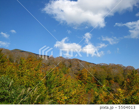 月山・紅葉 5504013