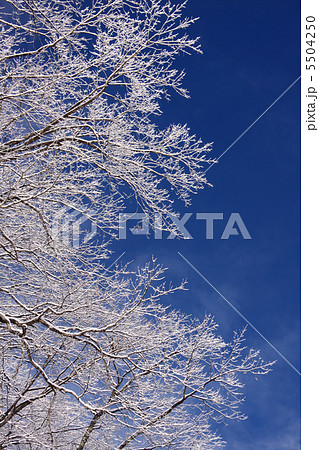 無題 無題 5504250