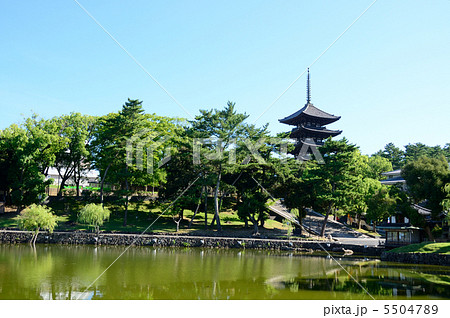 猿沢池から興福寺五重塔を望む 5504789