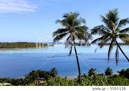 タヒチ タヒチ 5505126