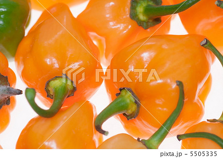 ハバネロ ハバネロ 5505335