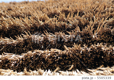 茅葺き屋根-1 5505339