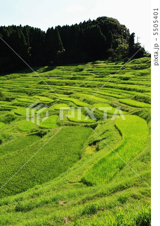 鴨川　大山・千枚田 5505401