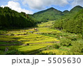 棚田 5505630