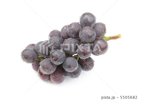 葡萄 5505682