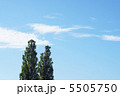 青空とポプラ 5505750