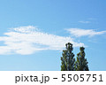青空とポプラ 5505751