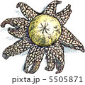 tuchiguri 5505871