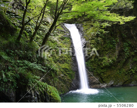 白滝 白滝 5506280