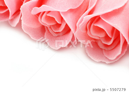 Pink soap roses close-up Pink soap roses close-up 5507279