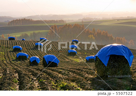 丘のまち　美瑛 5507522