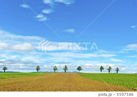 メルヘンの丘 5507586