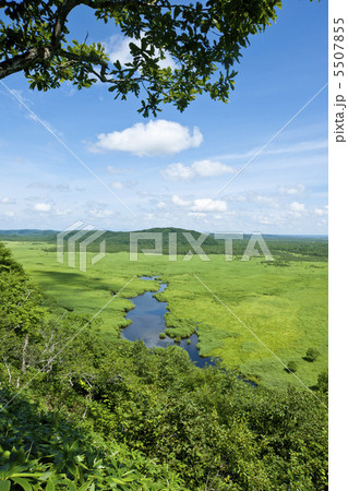 釧路湿原 5507855