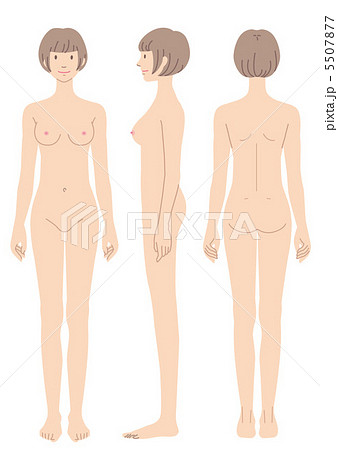 女性の身体　正面　横向　後姿 5507877