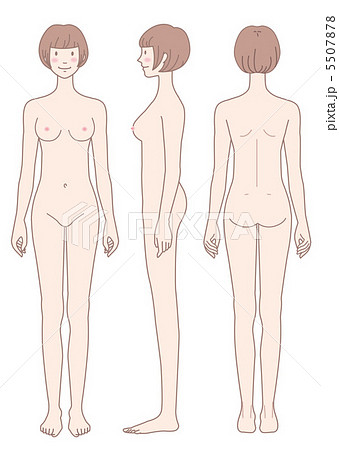 女性の身体　正面　横向　後姿 5507878