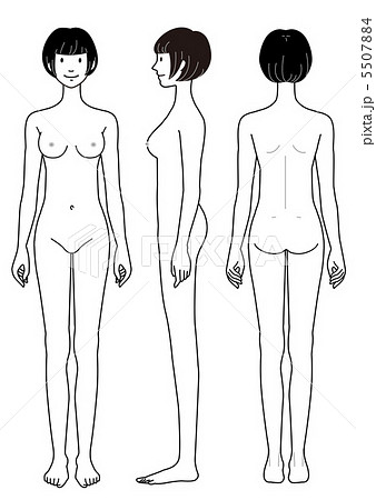 女性の身体 正面 横向 後姿のイラスト素材