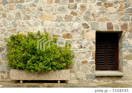 Stone wall with window and plants 5508595