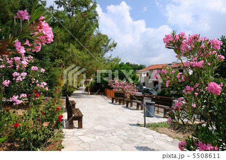 Alley in Omodos village, Cyprus 5508611