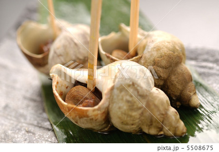 北海道産・ツブ 5508675