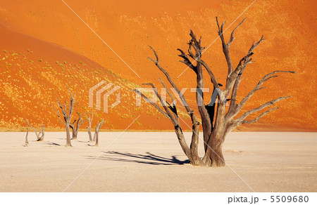 Namib Desert Namib Desert 5509680