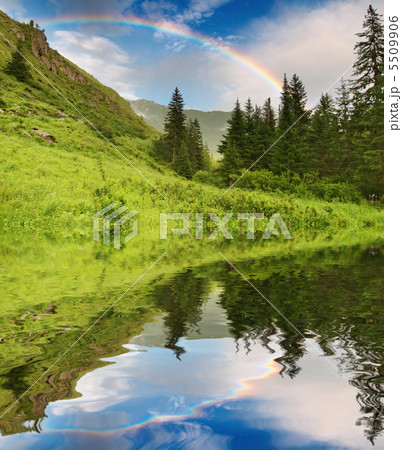 Rainbow over forest Rainbow over forest 5509906