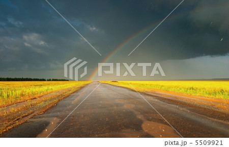 Rain Rain 5509921