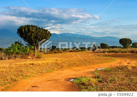 African savanna African savanna 5509922