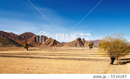 Tibetan landscape 5510167