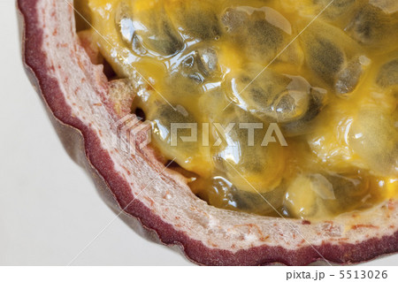 パッションフルーツ パッションフルーツ 5513026