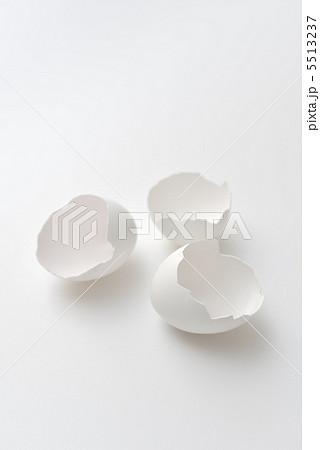 卵の殻 卵の殻 5513237