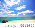 南の島　沖縄 5513699