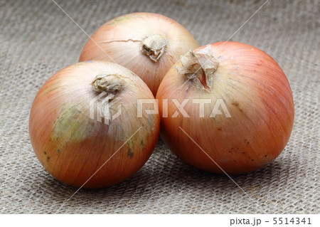 たまねぎ たまねぎ 5514341